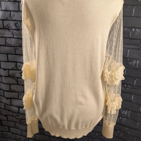 Express Sweater Top with Sheer Lace Sleeves - Picture 5 of 5